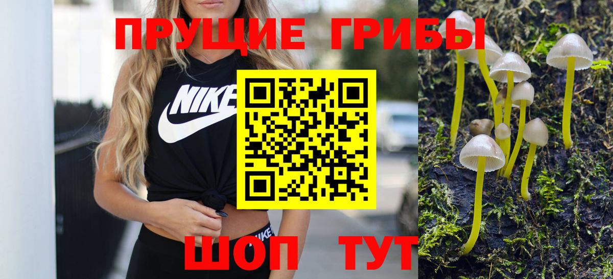 Псилоцибиновые грибы GOLDEN TEACHER Железноводск