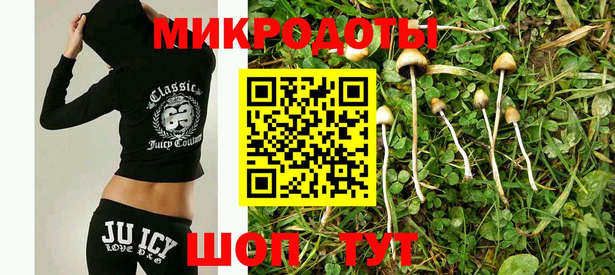 Железноводск  Псилоцибиновые грибы мицелий  Вход с VPN  Галлюциногенные грибы GOLDEN TEACHER 